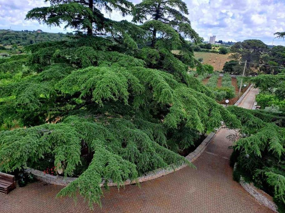 Апартаменты Casina Foggia Dell'Albero Путиньяно Экстерьер фото